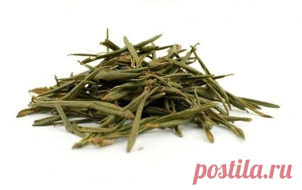 Чай против курения а так же для снижения аппетита Женский мир от А до Я | Женский журнал