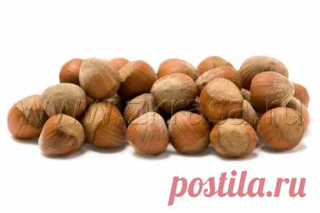 Фундук Corylus avellana Миллион советов на все случаи жизни!