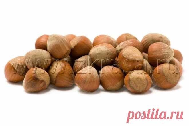 Фундук Corylus avellana Миллион советов на все случаи жизни!