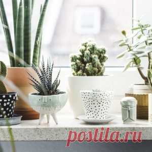 Вещи, притягивающие в дом счастье - МирТесен