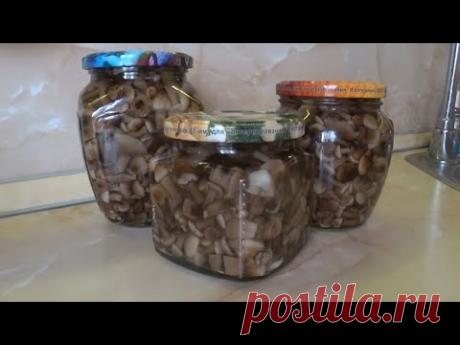 МАРИНОВАННЫЕ ОПЯТА / Проще не бывает ! / Ядовитая Галерина ( ссылка в описании ) 24 июля 2019 г.