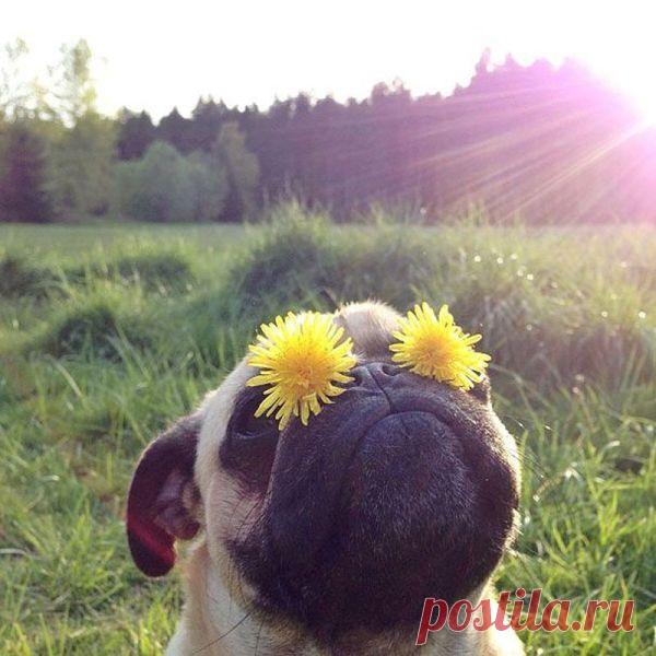 Позитивная фотоподборка (130 фото) / Юмор / Развлекательный Портал MainFun.ru