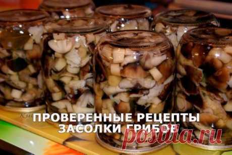 ПРОВЕРЕННЫЕ РЕЦЕПТЫ ЗАСОЛКИ ГРИБОВ
Сохраните, чтобы не потерять!
1. Засолка грибов — холодный способ.
Ингредиенты:
грибы (рыжики, черные и белые грузди, волнушки, сыроежки) — 1 кг
соль — 100 г
смородина — 10 – 12 листьев
вишня — 5 – 6 листиков
хрен — 2 листа
укроп — 2 зонтика
лавровый лист — 2 – 3 шт.
перец горошком — по вкусу
чеснок — по вкусу
Приготовление :
Грузди, волнушки или сыроежки вымыть и залить холодной водой на 5 – 6 ч. (Рыжики не вымачивают, а только промывают). На дно деревянн