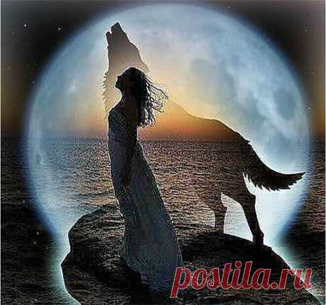 [Супер предложения] Новое мозаика полный положил алмазов картина Вышивка Бисер Celestial Wolf Moon женщина мечта бриллиантами вышивка крестиком купить на AliExpress