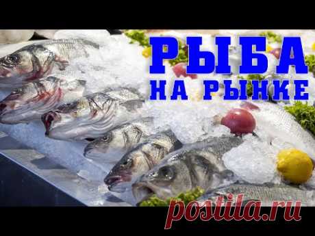 Рыба которую я не куплю. Что надо знать перед покупкой. Как выбирать рыбу на рынке.