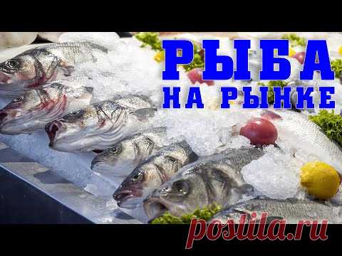Рыба которую я не куплю. Что надо знать перед покупкой. Как выбирать рыбу на рынке.
