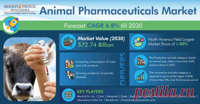 The global animal pharmaceuticals market size stood at roughly $40.07 billion in 2021, and it is set to reach $72.74 billion by 2030, growing at a CAGR of 6.8% during 2021–2030. The major factors credited for the rising demand for veterinary drugs are the increasing consumption of meat and milk products, booming pet adoption trend, and growing incidence of zoonotic diseases.