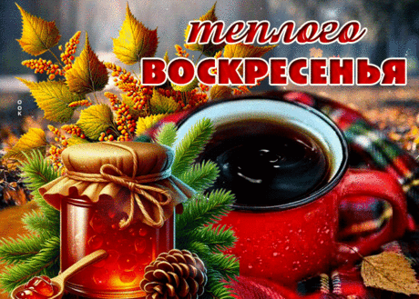 Уютная и глубокая осеняя открытка Теплого воскресенья