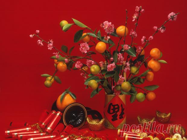 Свадебный Фэн-Шуй: 5 советов для того чтобы семейная жизнь была счастливой