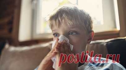 Врач Баранов: температуру выше 38 градусов у детей следует купировать. Заведующий отделением оториноларингологии ФНКЦ ФХМ имени Ю.М. Лопухина ФМБА России, доцент кафедры оториноларингологии педиатрического факультета РНИМУ имени Н.И. Пирогова, кандидат медицинских наук Константин Баранов напомнил о том, что подходить к терапии острых респираторных заболеваний у детей надо рационально. Читать далее