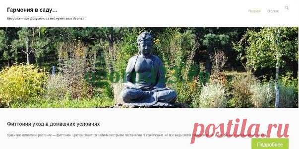 Полезные сайты, статьи, издания по садоводству и огородничеству