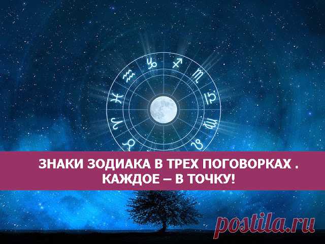 Знаки зодиака в трех поговорках. В точку!