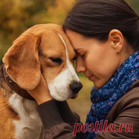 Близнецы с мигалкой, Воробушек и собака - OGADANIE.RU