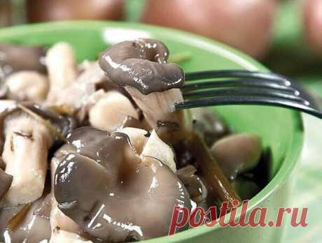ВЕШЕНКИ МАРИНОВАННЫЕ