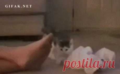 Посильней нашатыря будет...