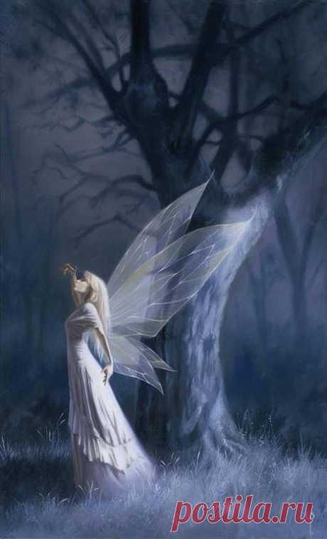 (22) Pinterest