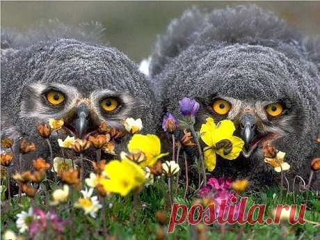 Мой Мир@Mail.Ru