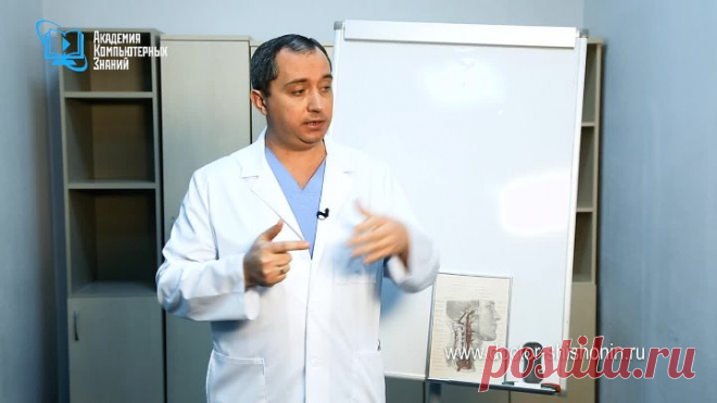 Как доктор Шишонин курить бросал