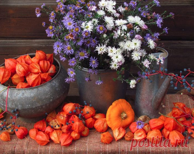 Осенние натюрморты! Прощай, прощай, краса природы!.