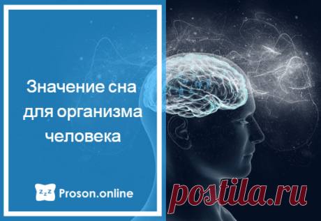 Что происходит в организме во время сна - как сон влияет на организм