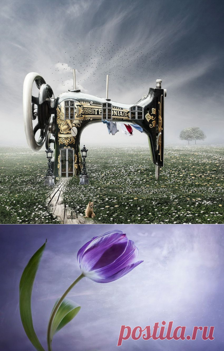 Про доброе, поучительное, цветочное... Фотограф Christine Ellger..