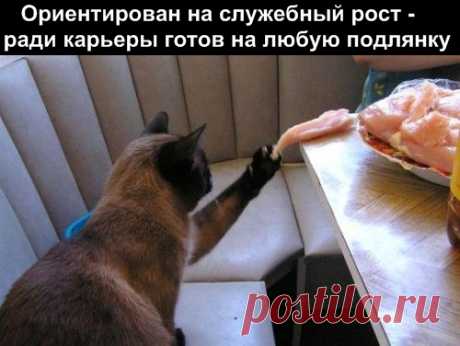 https://img0.liveinternet.ru/images/attach/b/3//42/75/42075713_1238915979_2.jpg