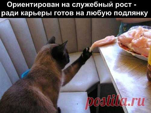 http://img0.liveinternet.ru/images/attach/b/3//42/75/42075713_1238915979_2.jpg