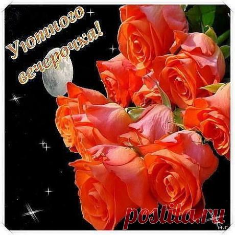 Уютного вечера!