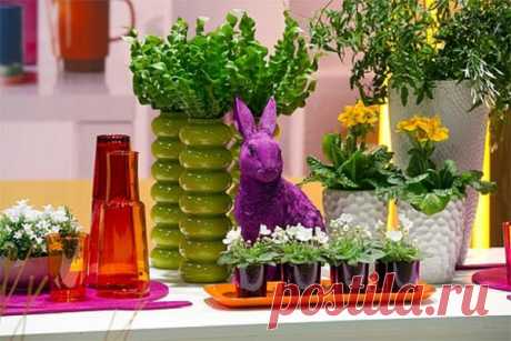 Дневник lkrasnoperka