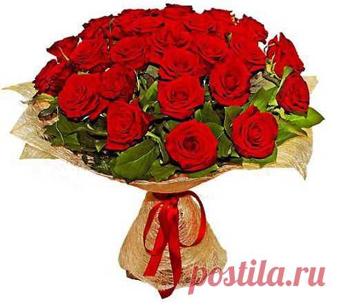 Поздравляем! — форум Wroom.ru
