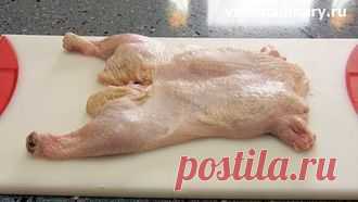 Удаление костей из курицы – Видео и фото простого способа