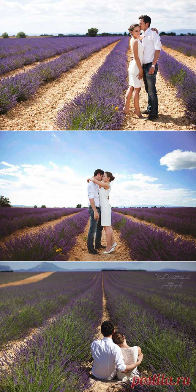 Поле лаванды: love-story Екатерины и Ричарда - WeddyWood
