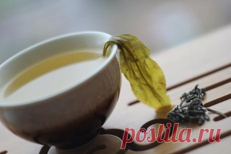 Чай против атеросклеротических бляшек у пожилых женщин | Чай, херес и немного кофе | Яндекс Дзен