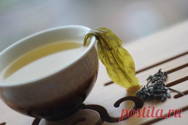 Чай против атеросклеротических бляшек у пожилых женщин | Чай, херес и немного кофе | Яндекс Дзен