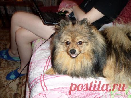 да отдыхаю я,понятно,отдыхаю