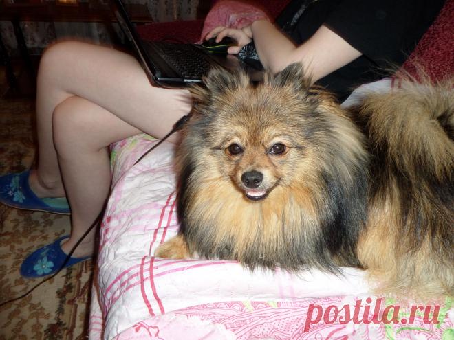 да отдыхаю я,понятно,отдыхаю