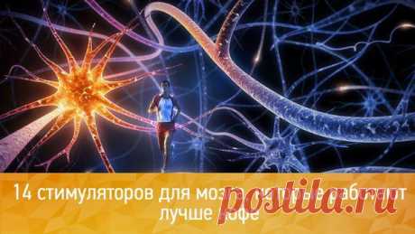 14 стимуляторов для мозга, которые работают лучше кофе / Понимание бизнеса