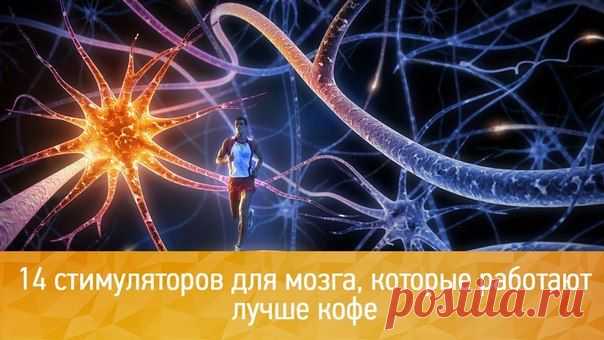 14 стимуляторов для мозга, которые работают лучше кофе / Понимание бизнеса