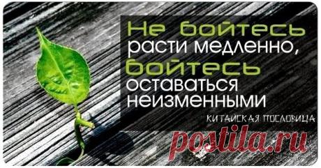 Работа из дома