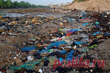 Разработан новый план спасения планеты. Рабочая группа ООН по работе с проблемами экологии представила глобальный проект защиты биоразнообразия и спасения планеты от климатических потрясений в ближайшее десятилетие. Эксперты предлагают внести корректировки в систему производства и потребления продуктов питания, в том числе путем отказа от пластика.