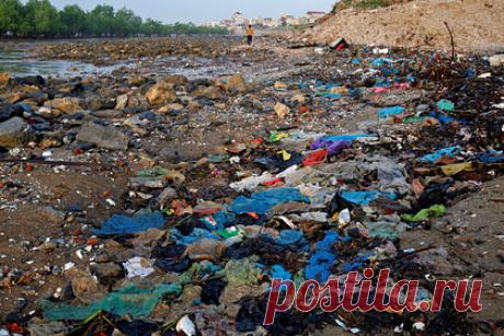 Разработан новый план спасения планеты. Рабочая группа ООН по работе с проблемами экологии представила глобальный проект защиты биоразнообразия и спасения планеты от климатических потрясений в ближайшее десятилетие. Эксперты предлагают внести корректировки в систему производства и потребления продуктов питания, в том числе путем отказа от пластика.