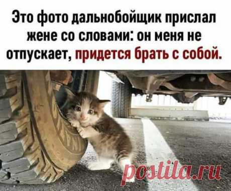 Алексей Журавлев - Челябинск, Челябинская обл., Россия, 45 лет на Мой Мир@Mail.ru