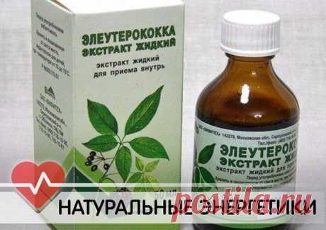 НАТУРАЛЬНЫЕ ЭНЕРГЕТИКИ / Абсолютное здоровье
