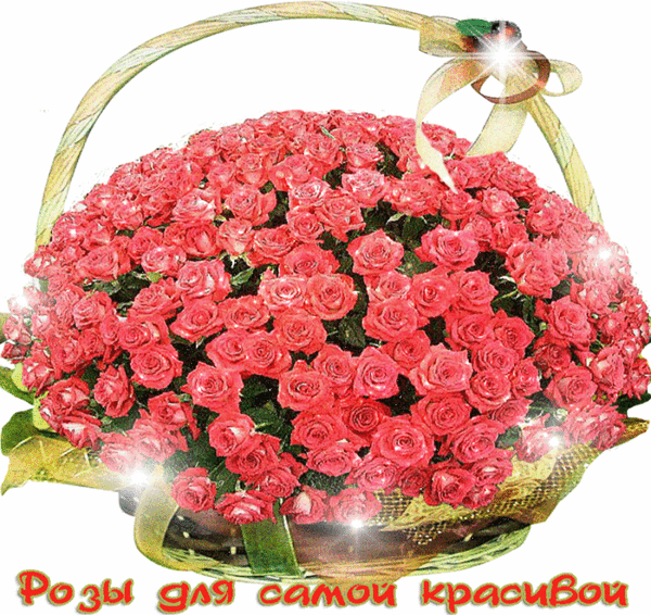 ТЫ ОДНА В МОЕЙ СУДЬБЕ !!!