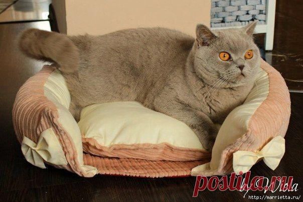 Как сшить кроватку для кошки. Мастер-класс - Для животных