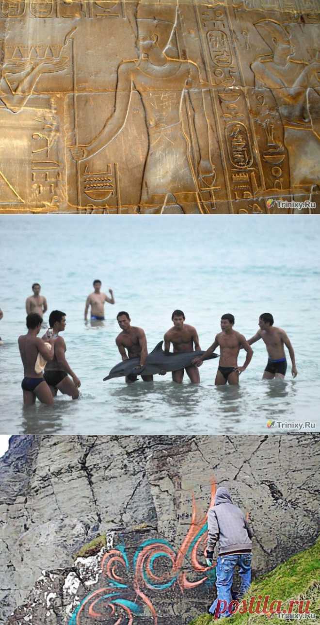 Худшие в мире туристы (5 фото + текст) » Триникси