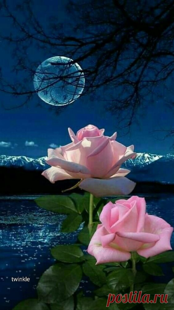 Pinterest