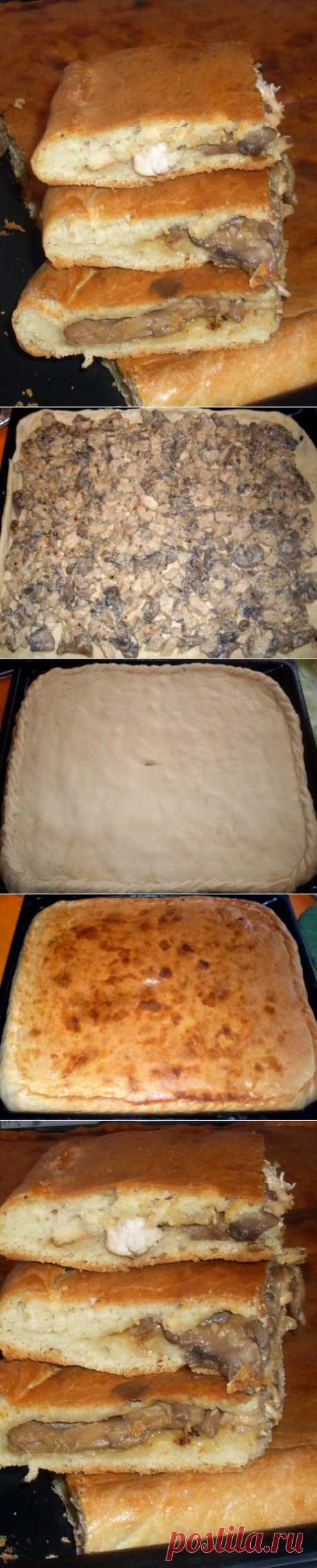 Пирог с курицей и грибами из бездрожжевого теста на кефире | Четыре вкуса