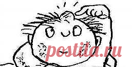 Капуста – это не только вкусно | Друг пенсионера