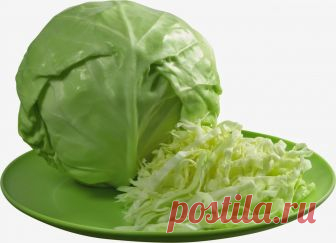 Овощи, которые улучшают работу почек
